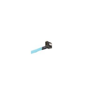 HP 875566-001 2 and 8 cage small form factor (SFF) backplane cable.